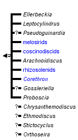 taxon links