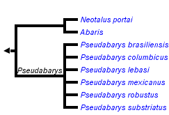 taxon links