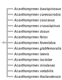 taxon links