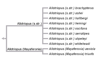 taxon links