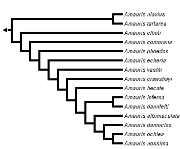 taxon links