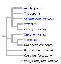 taxon links