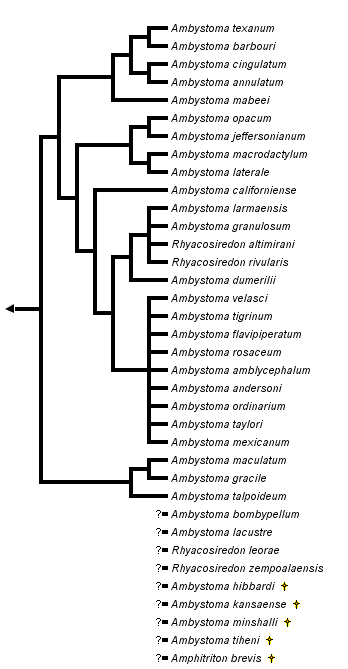 taxon links