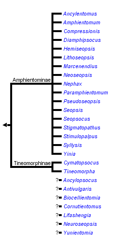 taxon links