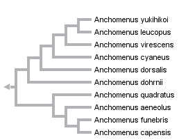 taxon links