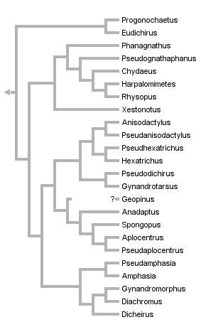 taxon links