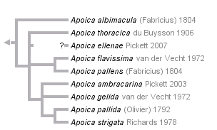 taxon links