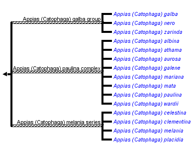 taxon links