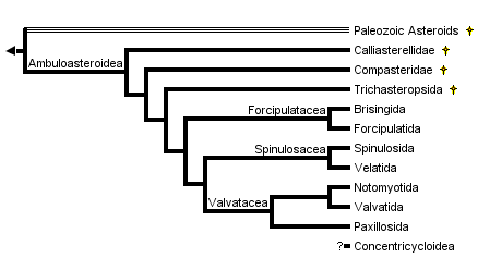 taxon links