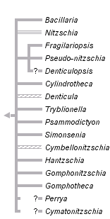 taxon links