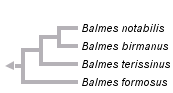 taxon links