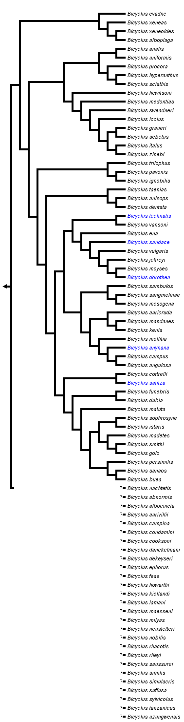 taxon links