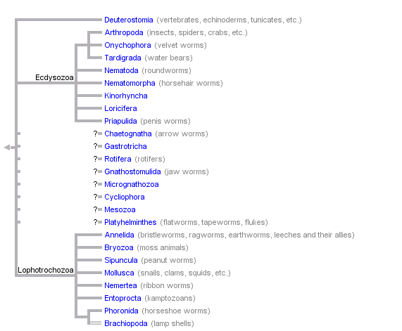 taxon links