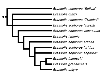 taxon links