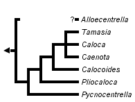 taxon links