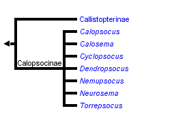 taxon links