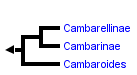 taxon links