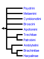 taxon links