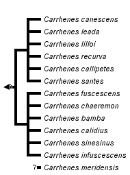 taxon links