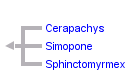 taxon links