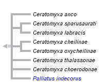 taxon links