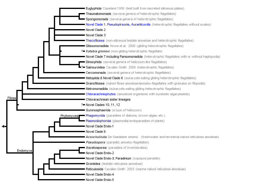 taxon links