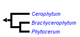 taxon links