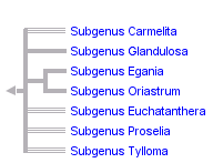 taxon links