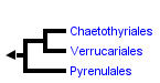 taxon links