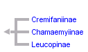 taxon links