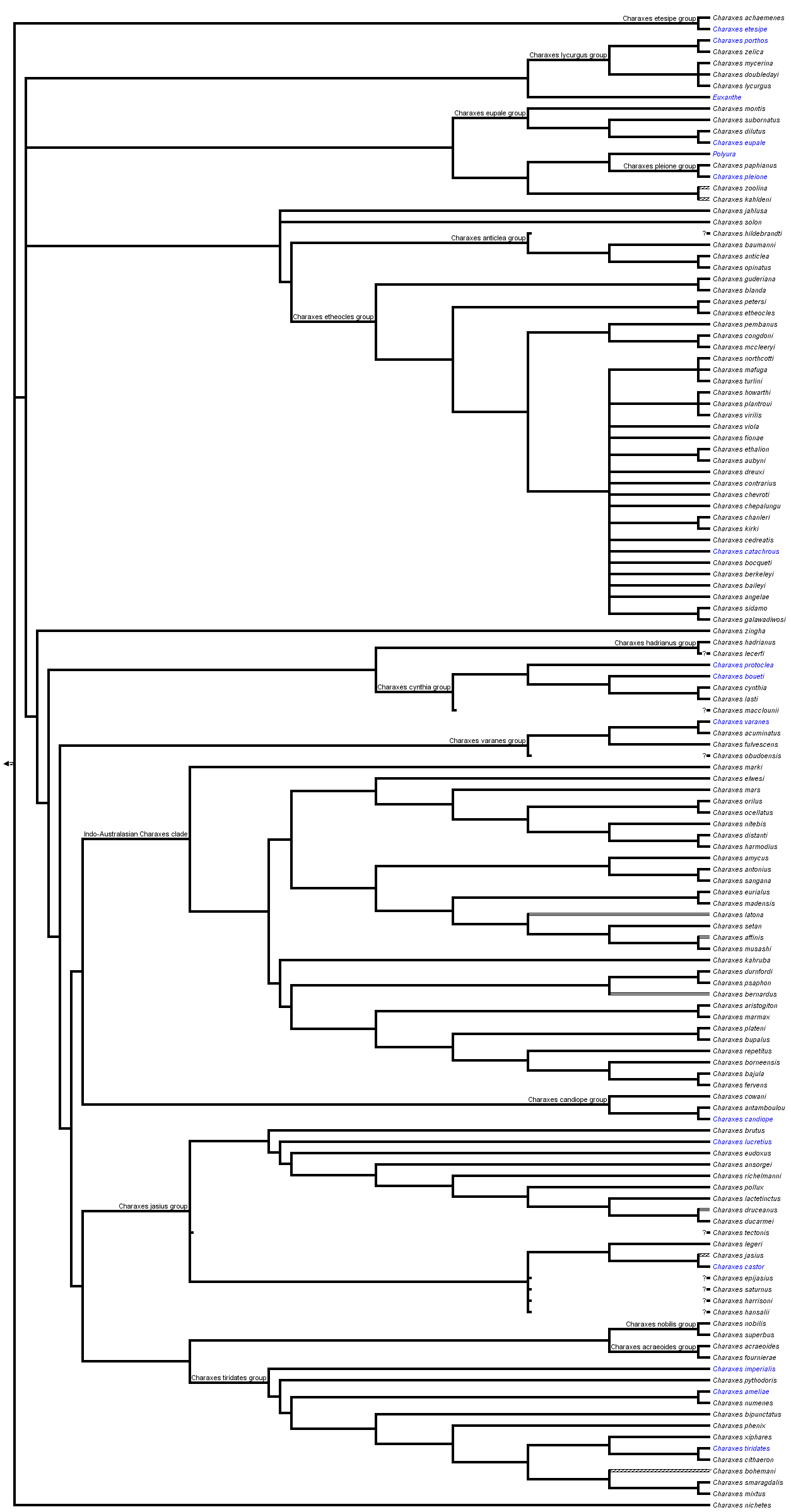 taxon links