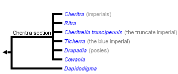 taxon links