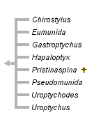 taxon links