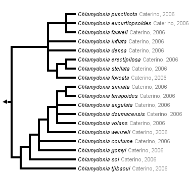 taxon links