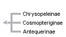 taxon links