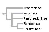 taxon links