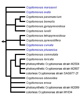 taxon links