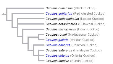 taxon links