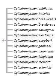 taxon links