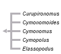 taxon links