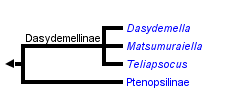 taxon links