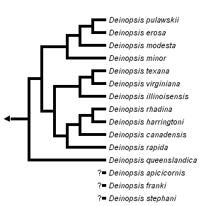 taxon links