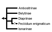 taxon links