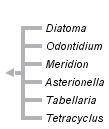 taxon links