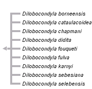 taxon links