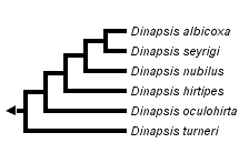 taxon links