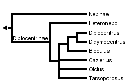 taxon links