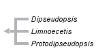 taxon links