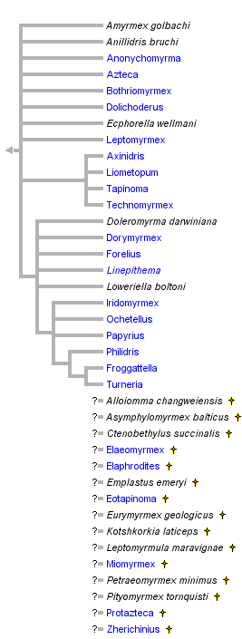 taxon links