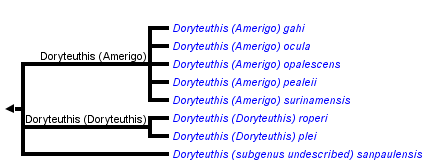 taxon links